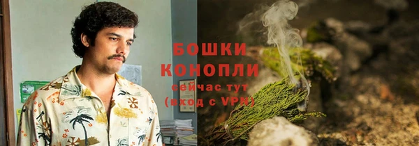 твердый Осташков