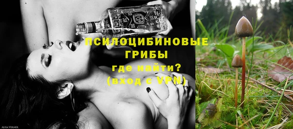 мяу мяу мука Осинники