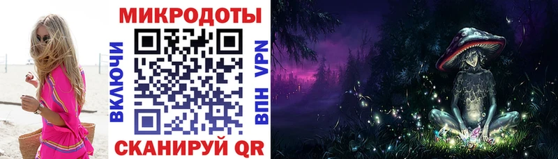 Купить закладки  Дмитриев  Псилоцибиновые грибы Magic Shrooms 